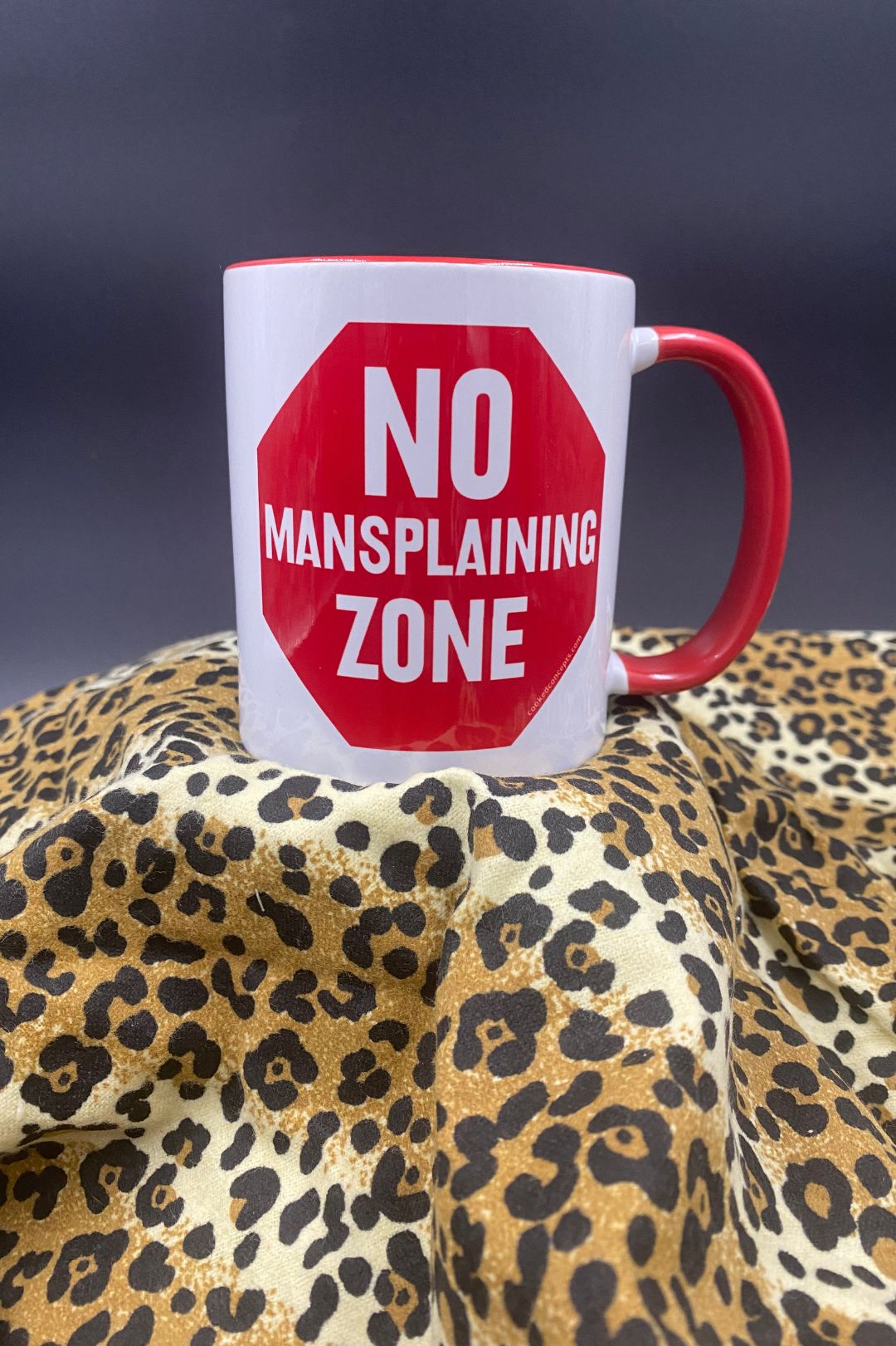 No Mansplaining Mug