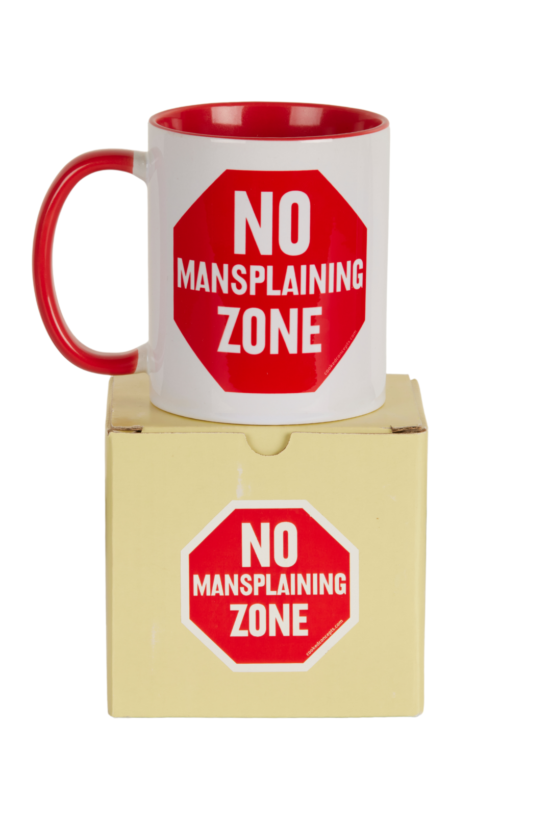 No Mansplaining Mug