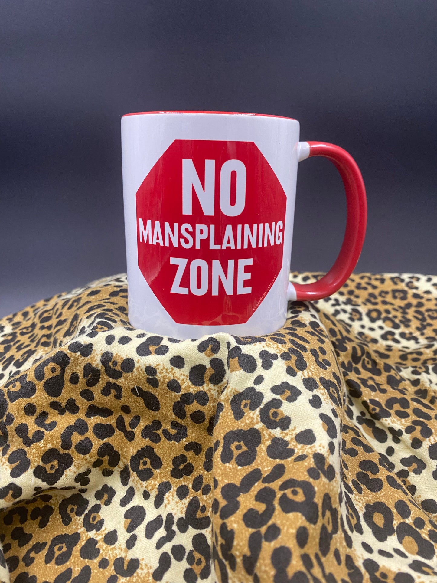 No Mansplaining Mug 
Heavy white mug with red and white No Mansplaining Zone design on the front, with red handle.